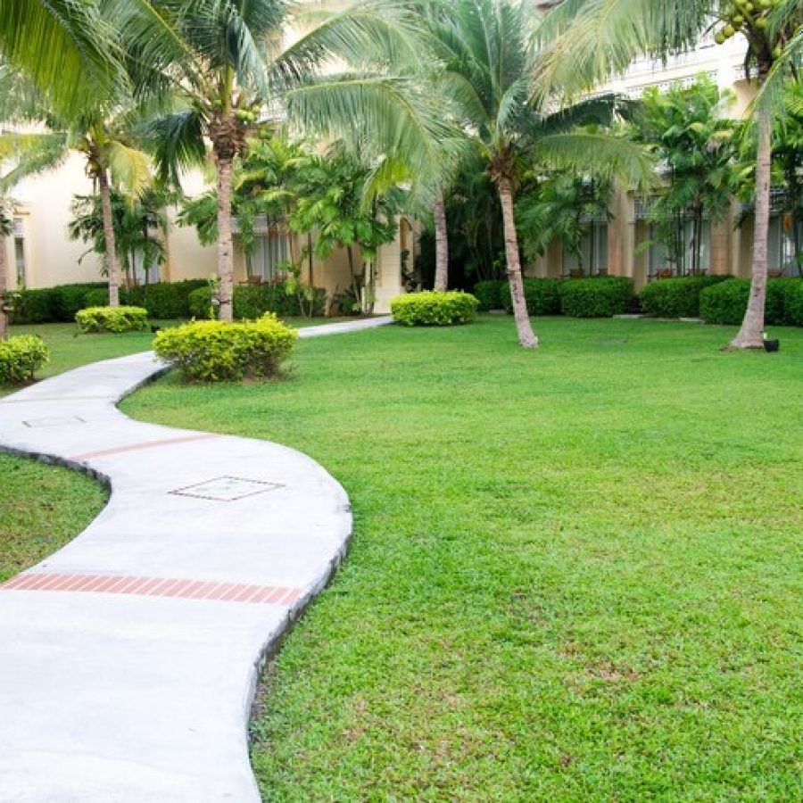 garden-stone-path-with-grass_87394-8848