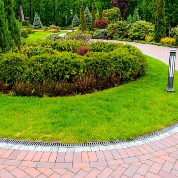 landscape-design_397170-2332