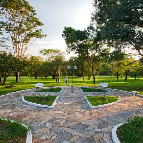 sao-paulo-university-ribeirao-preto_70216-2034